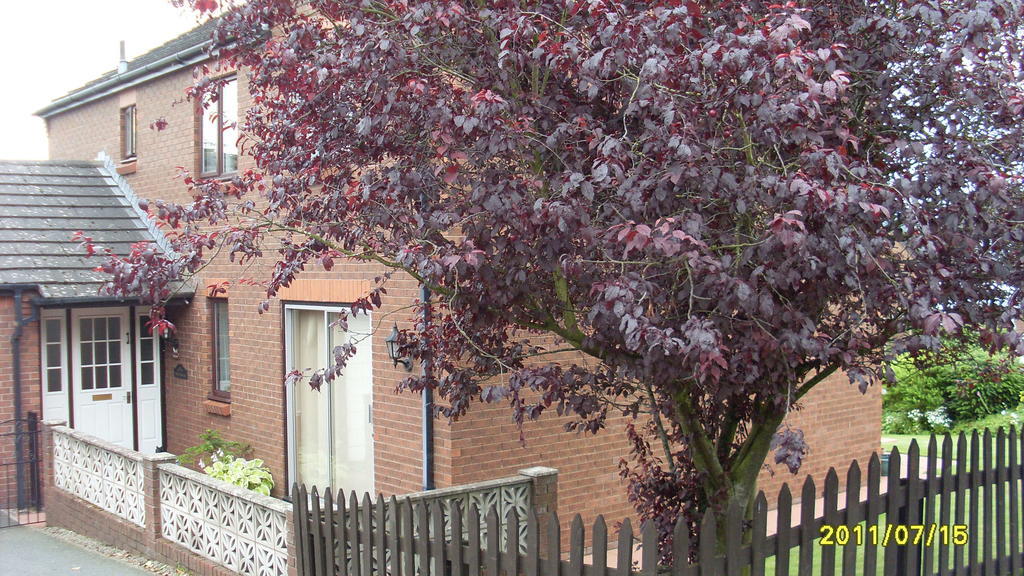 Briardale Bed and Breakfast Lazonby Exterior foto
